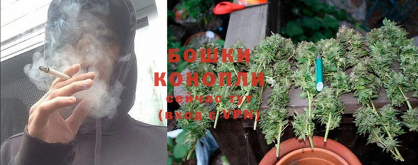 индика Кулебаки