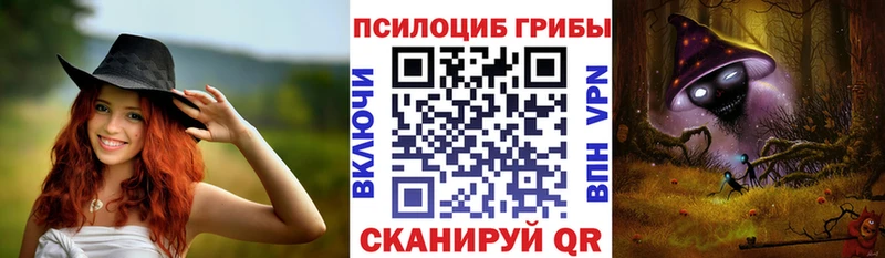МЕГА зеркало  Подольск  Галлюциногенные грибы Psilocybine cubensis 