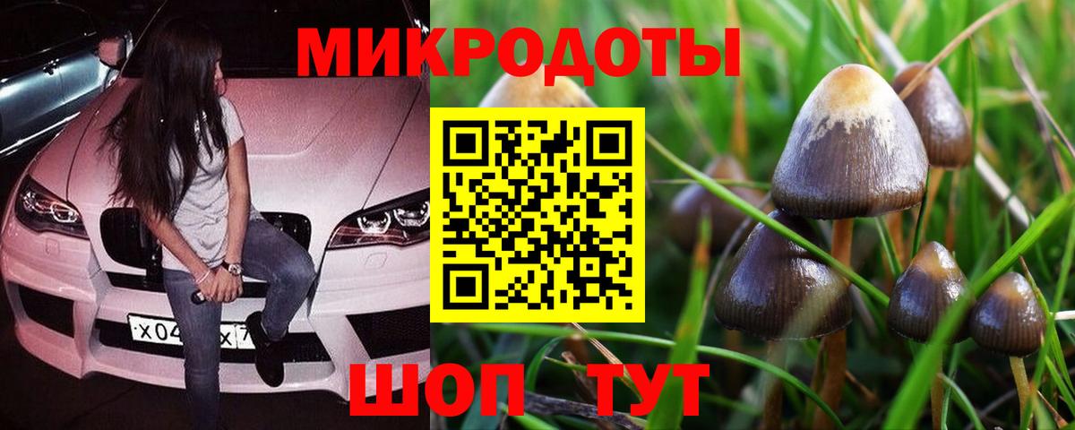 Псилоцибиновые грибы Cubensis  Псилоцибиновые грибы Magic Shrooms  Подольск  Вход с VPN 